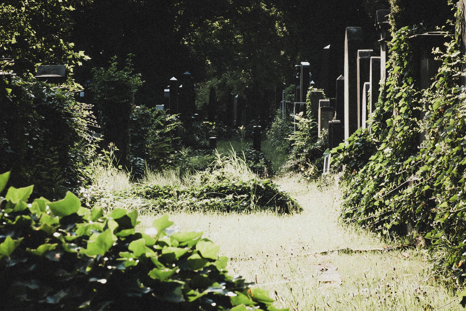 Jüdischer Friedhof Kassel-Bettenhausen